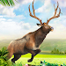 Deer Hunting: Hunter Games Screenshot 1