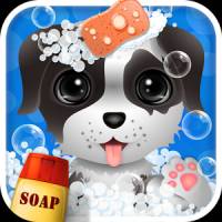 Wash Pets