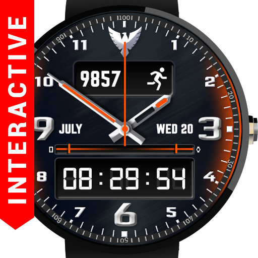 Falcon Watch Face