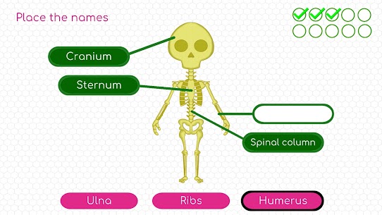 BodyQuest: Anatomy for kids screenshot 2
