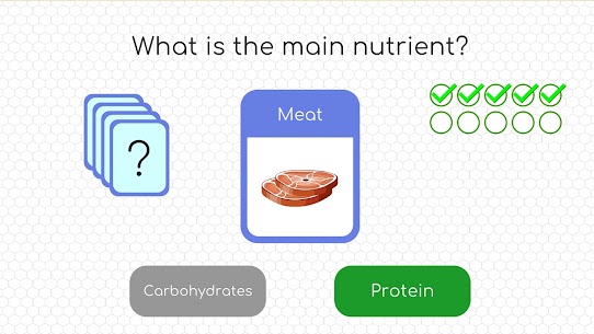 BodyQuest: Anatomy for kids screenshot 4