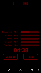 Massive Dev Chart Timer screenshot 2