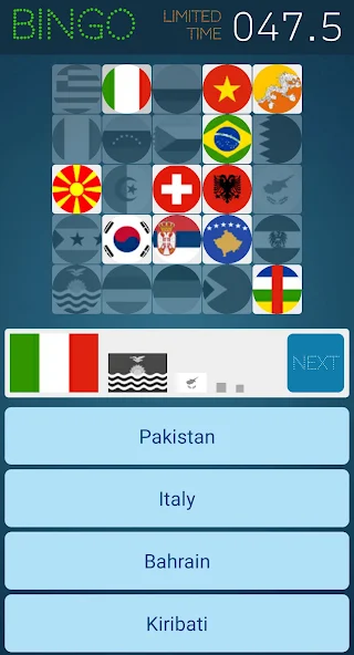 Flag Bingo screenshot 2