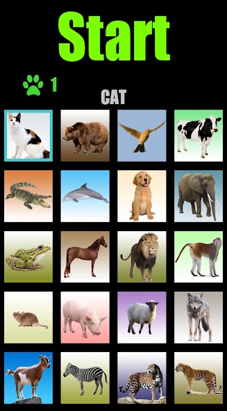 Animal sounds