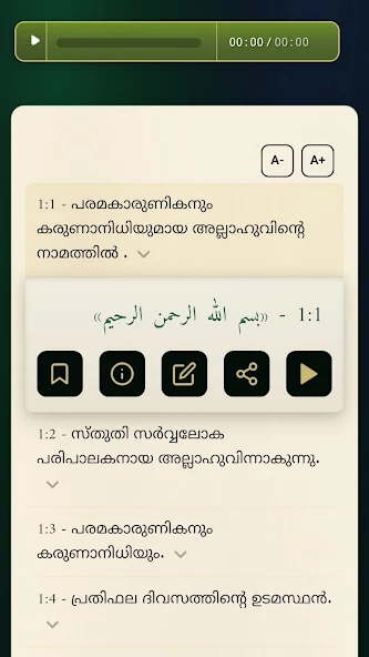 QURAN screenshot 4