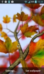 Autumn Leaves in HD Gyro 3D Parallax Wallpaper screenshot 2