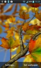 Autumn Leaves in HD Gyro 3D Parallax Wallpaper screenshot 3