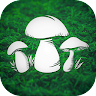 Real Mushroom Hunting Simulator 3D screenshot 1