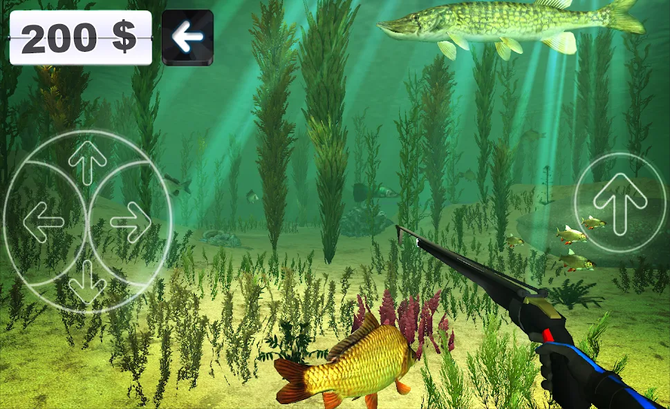 spearfishing
