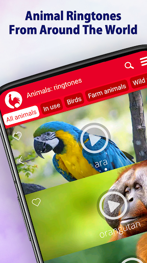 Animal Ringtones preview 1