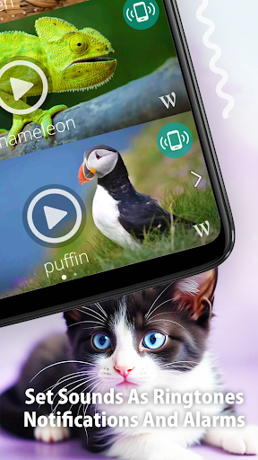 Animal Ringtones preview 4