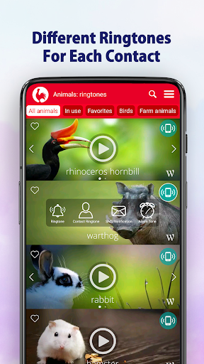 Animal Ringtones preview 5
