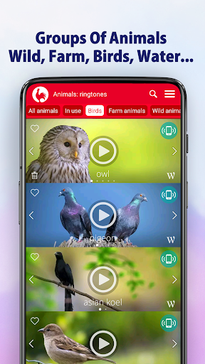 Animal Ringtones preview 6