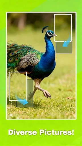 Jigscapes Puzzle screenshot 1