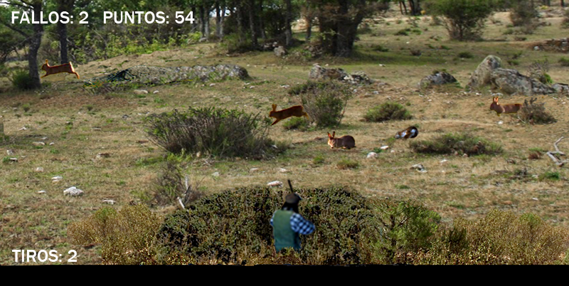 Cazando Conejos screenshot 2