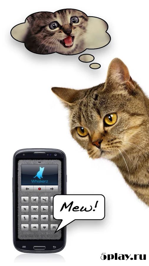 Cat Translator