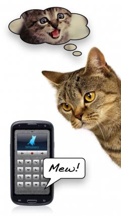 Cat Translator screenshot 2