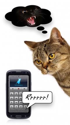 Cat Translator screenshot 3