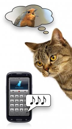 Cat Translator screenshot 4