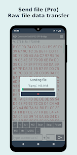 Bluetooth Terminal Pro screenshot 7