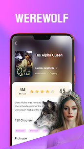 FancyNovel screenshot 2