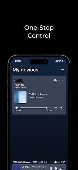 Eversolo Control Screenshot 3