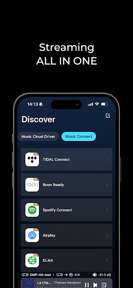 Eversolo Control Screenshot 4