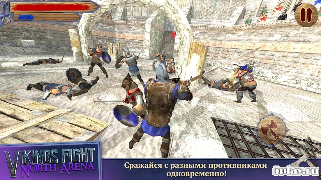 Vikings Fight: North Arena