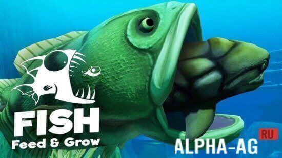 Feed and Grow: Fish