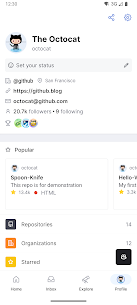 GitHub screenshot 8