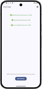 AnyCopy - Copy Text On Screen screenshot 3