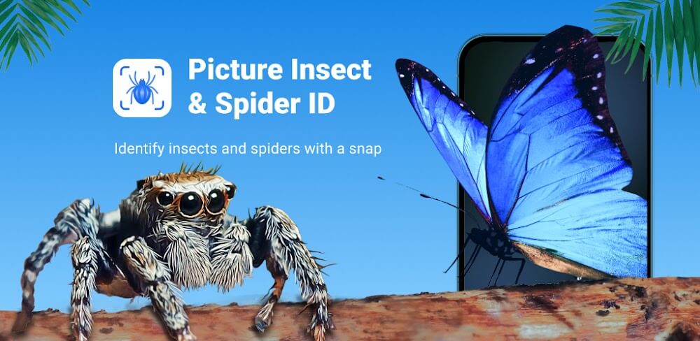 Picture Insect: Bug Identifier screenshot 1