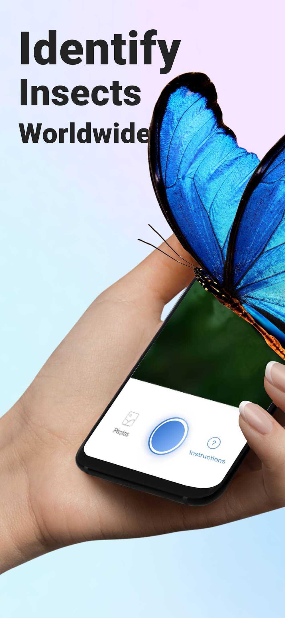 Picture Insect: Bug Identifier screenshot 3