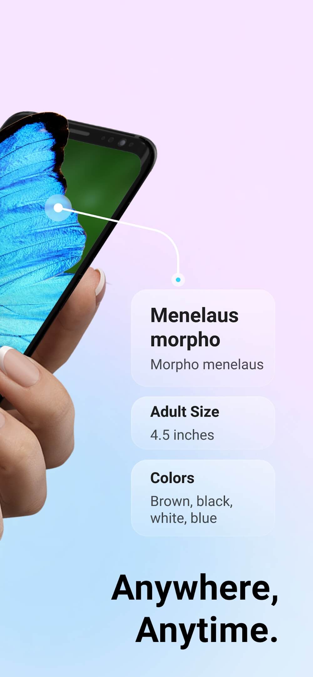 Picture Insect: Bug Identifier screenshot 4