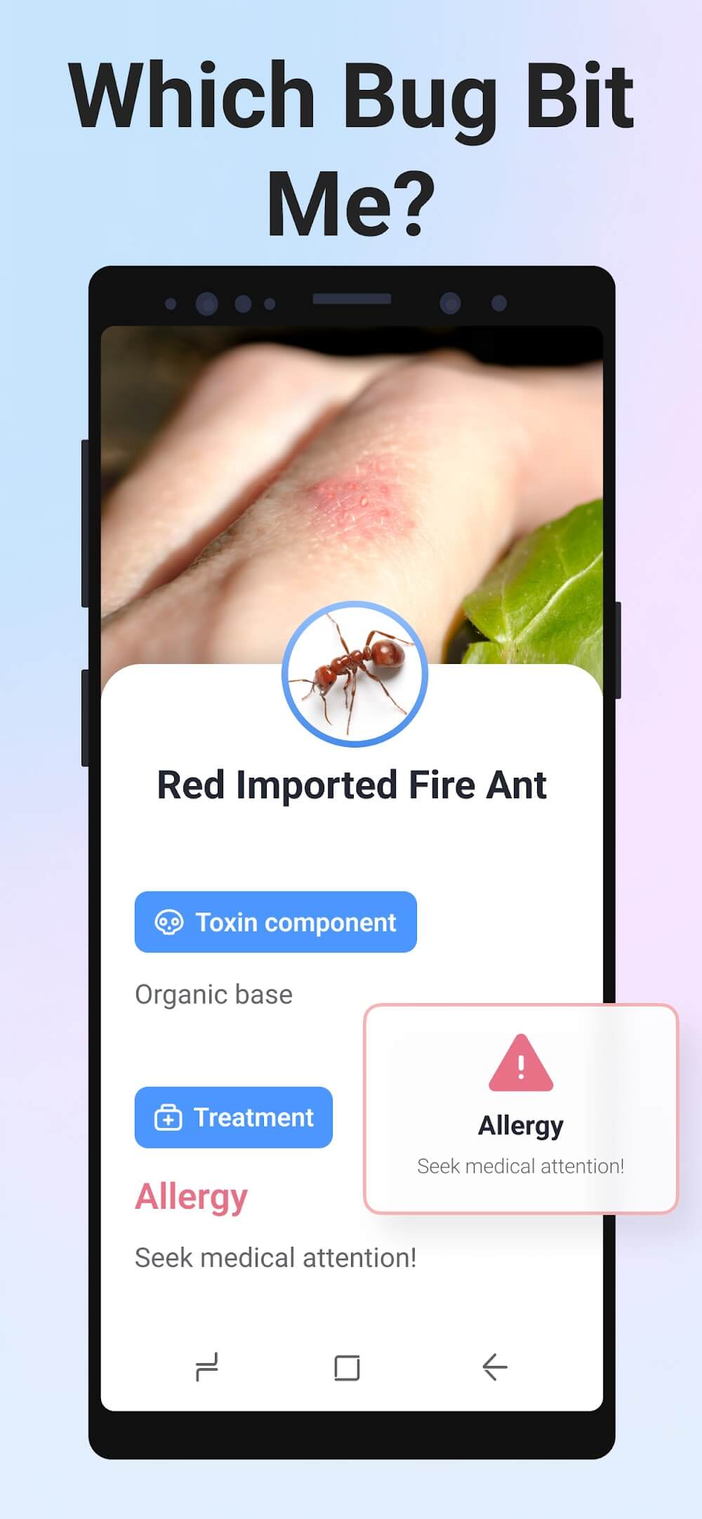 Picture Insect: Bug Identifier screenshot 5