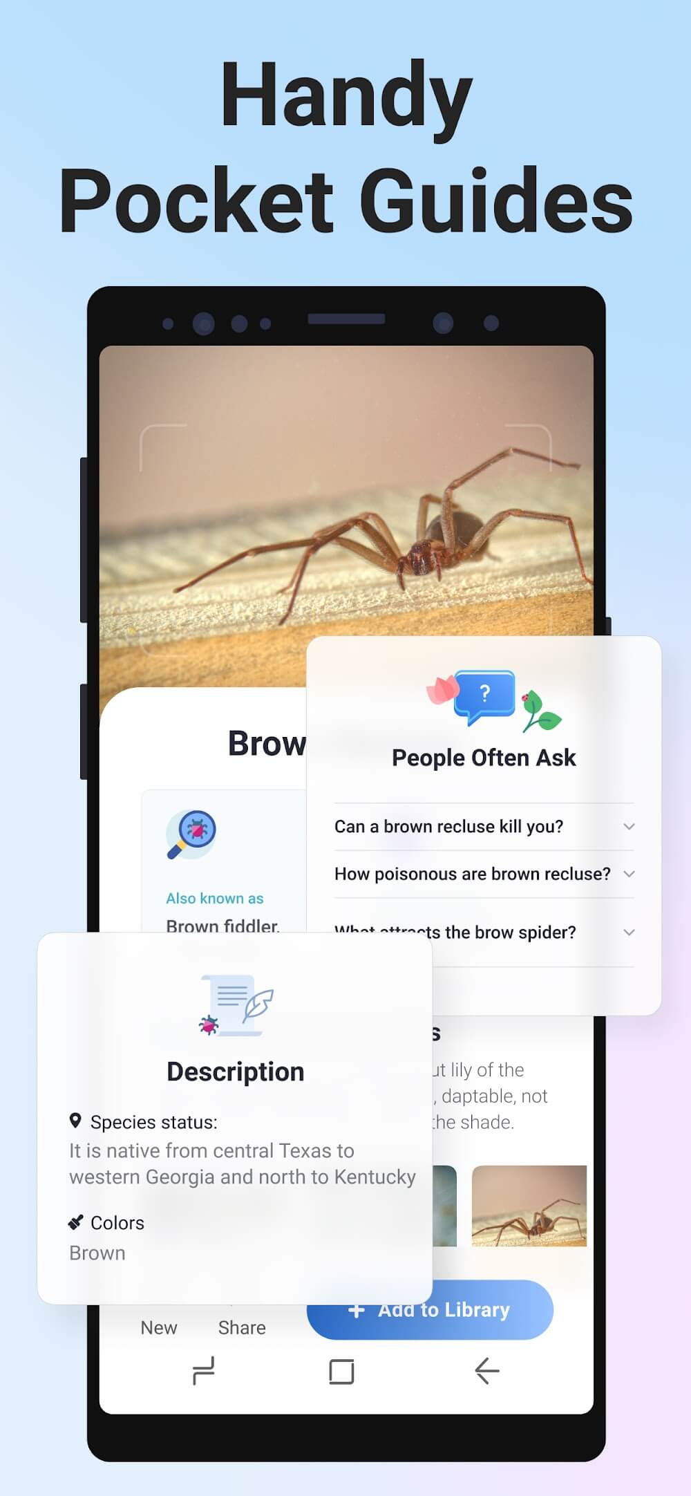 Picture Insect: Bug Identifier screenshot 8