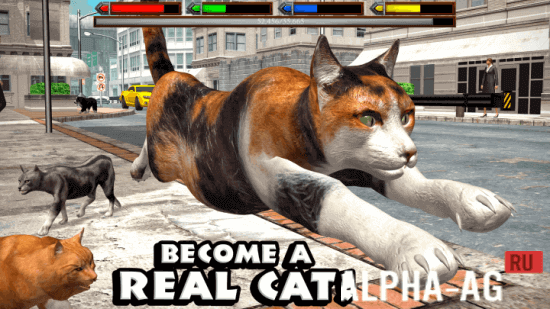 Ultimate Cat Simulator