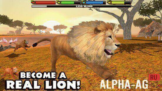 Ultimate Lion Simulator screenshot 2