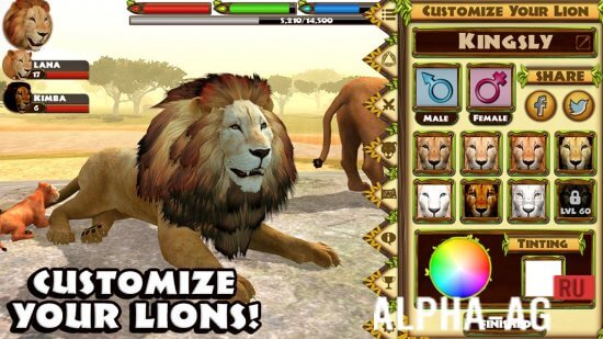 Ultimate Lion Simulator screenshot 4