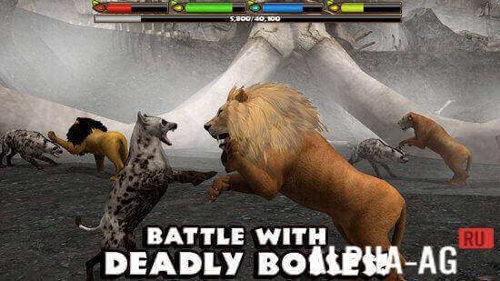 Ultimate Lion Simulator screenshot 6
