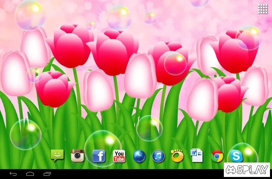 Flowers Tulips Live Wallpaper