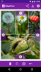 GluePics screenshot 1