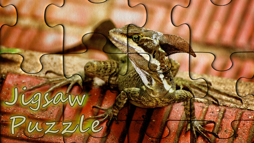 Jigsaw Puzzles screenshot 1