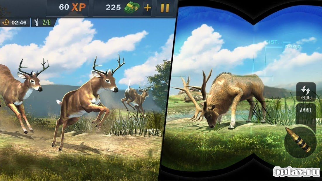 Animal Hunting Sniper Shooting Game 2020