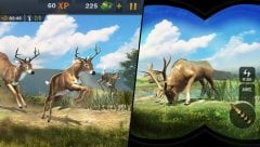 Animal Hunting Sniper Shooting Game 2020 screenshot 2