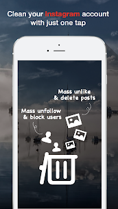 Instant Cleaner for Instagram preview 1