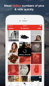 Instant Cleaner for Instagram preview 3