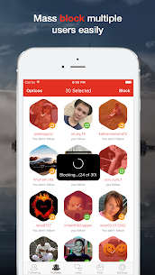 Instant Cleaner for Instagram preview 4