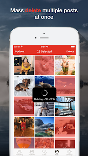 Instant Cleaner for Instagram preview 5