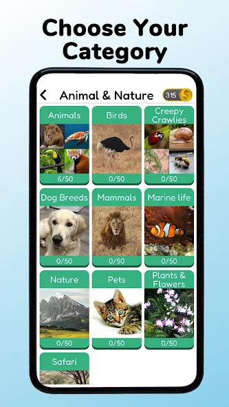 Pic Quiz screenshot 4